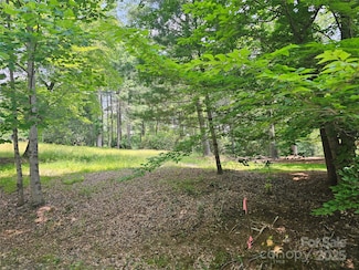 A3 Allison Creek Trail Unit A3, Brevard, NC 28712