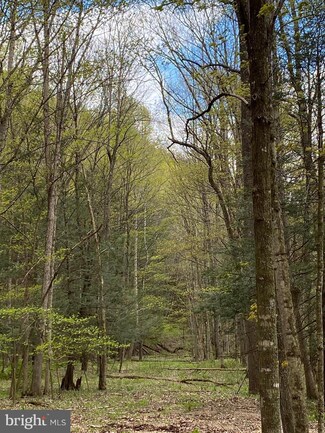Lot 7 Middle Cove Rd, Lost City, WV 26810