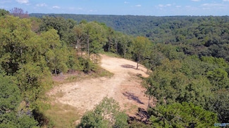 4.63 acres Lee St, Guntersville, AL 35976