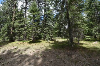 Lot 11 Fumarole Ct Unit 3, McCloud, CA 96057