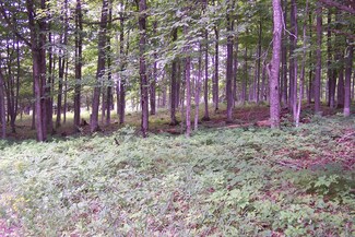 0 Bolton Rd Unit 40 acres 292388, Posen, MI 49776