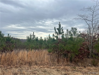 00 Yanceyville Rd, Louisa, VA 23093