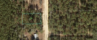 117 Romanshorn St, Interlachen, FL 32148