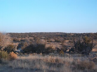 L-465-467 Woodland Valley Ranch Unit Betitio/Anasazi, St. Johns, AZ 85936