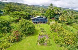 470 Waiohonu Rd Unit Lot 26, Hana, HI 96713