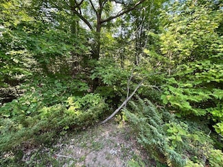 NHN Renwick Cir, Presque Isle, MI 49777