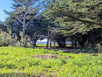 121 Magellan Ave, Half Moon Bay, CA 94019