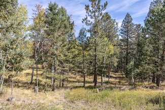 1845 Burland Dr, Bailey, CO 80421