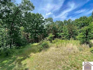 00 Dock Drr Unit Lot 66, Murray, KY 42071