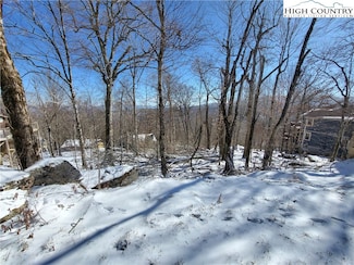 116 Village Rd, Beech Mountain, NC 28604