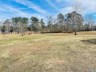 221 Mark Whitt Rd, Whitesboro, AL 35956
