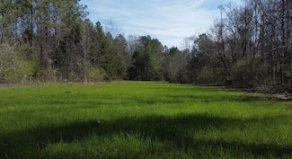 0 Bishop Bottom Rd, Letohatchee, AL 36047