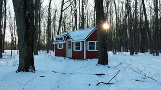 8211 N State Rd, Luther, MI 49656