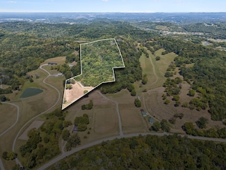 4828 Harpeth-Peytonsville Rd, Thompson's Station, TN 37179