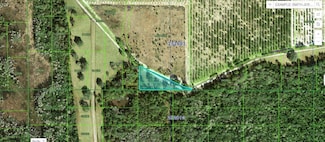 0 Deen Still Rd Unit MFRO6269506, Polk City, FL 33868