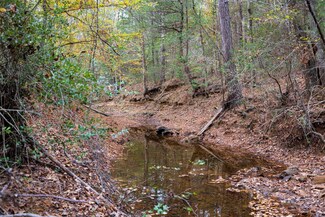 00 Farm To Market Road 228, Grapeland, TX 75844