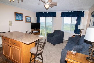 75 Mountain Lodge Lane 364, Snowshoe, WV 26209