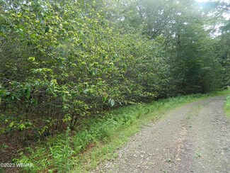 0 Wapiti Way Unit LOT 8, Shrewsbury Township, PA 17758