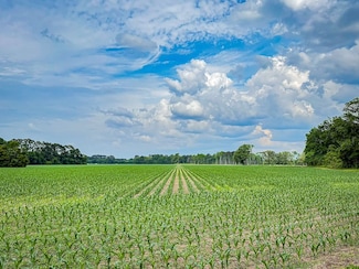0 Tbd Salem Rd Unit LotWP001, Bennettsville, SC 29512