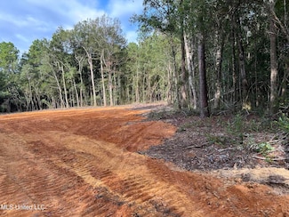 0 Old River Rd Unit 4116606, Vancleave, MS 39565