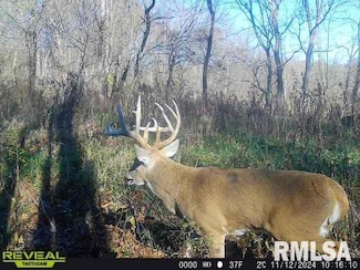 000 E 700th Ave, Watson, IL 62473