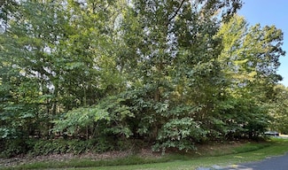 Lot 2067 Mayflower Dr Unit 2067, Greenbackvile, VA 23356