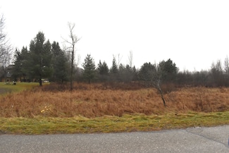 Lot 140 Winchester Way, Butman Township, MI 48624