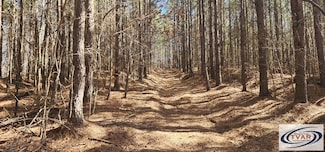 000 Williams Grove Rd, Camden, TN 38320