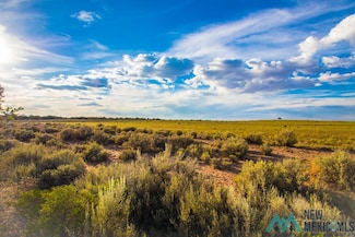 Lot 20 Jones Ranch Ave, Vanderwagen, NM 87326