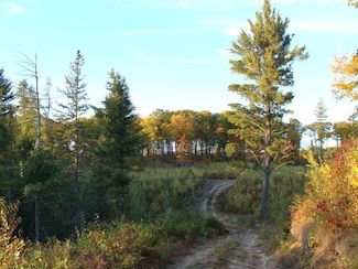 150ac. Steele Rd, Harshaw, WI 54529