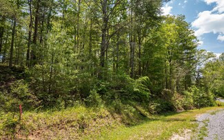 LT83 Old Toccoa Farm, Mineral Bluff, GA 30559