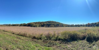 764 Columbia County Road 7a, Copake, NY 12516