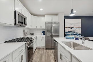 5149 Long Pointe Pass, Woodbury, MN 55129