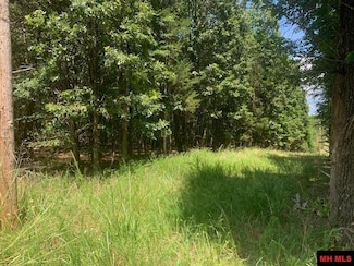 001-09509-000 Lazy Acres Rd, Protem, AR 65733