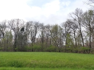 Lot 773 Cardinal Dr, Hopewell Township, IL 61375