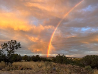 31184 Highway 145, Redvale, CO 81431