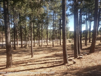 1119 Mechem Dr, Ruidoso, NM 88345