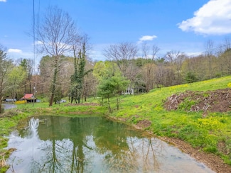 1509 Huckleberry Rd, Crockett, VA 24323