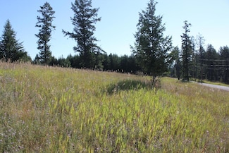 220 Spurwing Loop, Lakeside, MT 59922