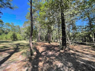 580 Dogwood Loop, Jasper, TX 75951