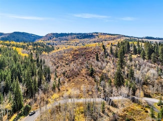 858 Red Draw Unit 2, Edwards, CO 81632