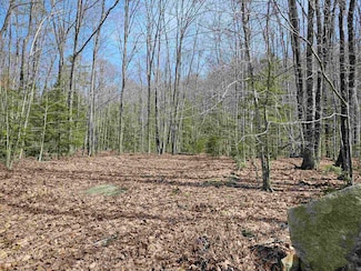 00 Hinkson Brook Rd, Canaan, NH 03741