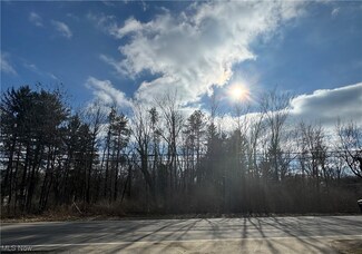 V/L Washington St, Chagrin Falls, OH 44023