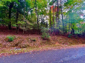 548 Satsuma Ct, Ellijay, GA 30540