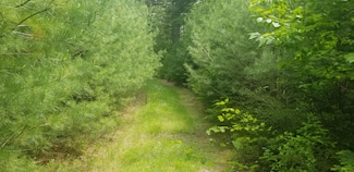 M13, L36 Harland Cunningham Rd, Penobscot, ME 04476
