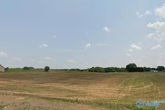 4.77 +/- Acres Robinson Ln, Elkmont, AL 35620