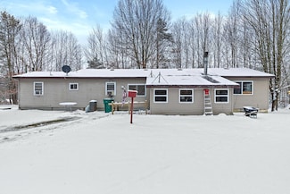 11224 E 8th St, Reed City, MI 49677