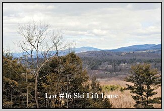 16 Ski Lift Ln, Plymouth, NH 03264