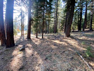 12654 Granite Rd, Truckee, CA 96161