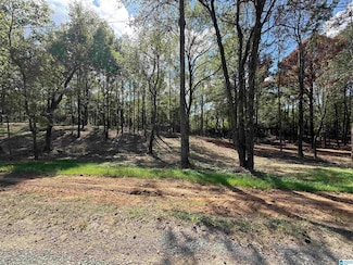 12A County Road 1123, Vinemont, AL 35179